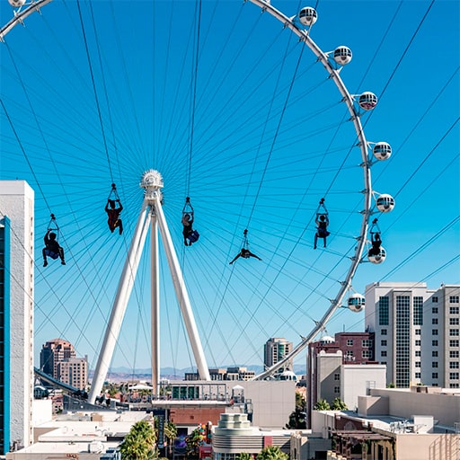 Fly Linq Zipline (Multiple Dates and Times)