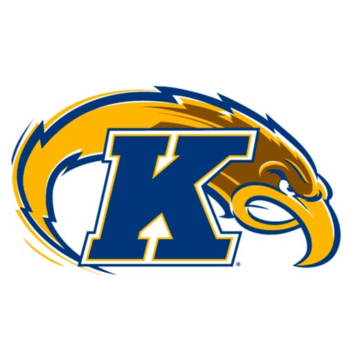 Kent State Golden Flashes vs. Bowling Green Falcons