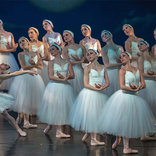 Ballet Theatre Of Maryland