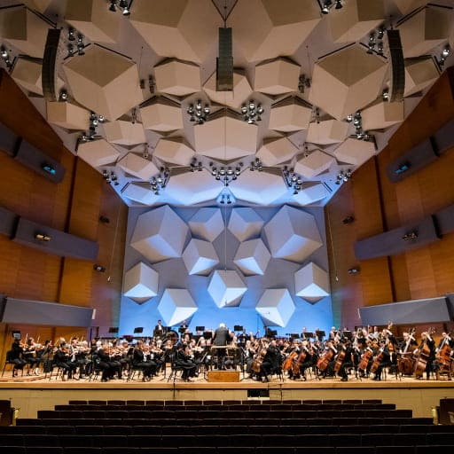 Minnesota Orchestra: David Afkham – Brahms Violin Concerto